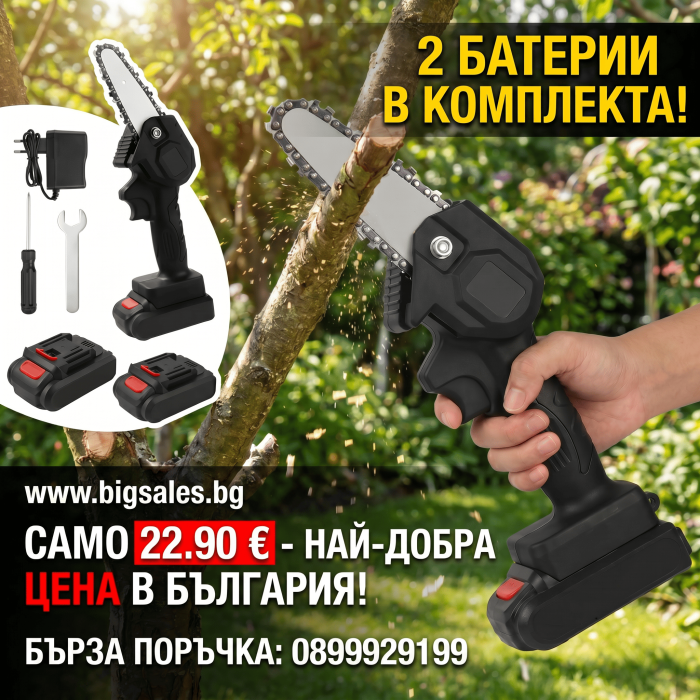 Мини акумулаторен трион 24V 6Ah с 2 батерии